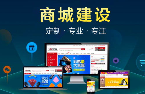 專業(yè)商城建設(shè)