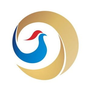 探索廣州久銀互聯(lián)網(wǎng)金融信息服務(wù) 創(chuàng)新與安全的互聯(lián)網(wǎng)信息服務(wù)新篇章